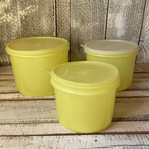 Vintage Tupperware Large Sheer Storage Container 255 Millionaire