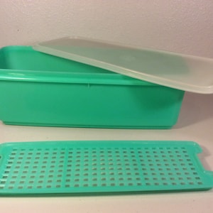 May include: A rectangular, teal-colored food storage container with a clear lid and a matching slotted tray. The container is open, revealing its interior. The lid is partially covering the container. The tray is separate.