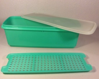 Vintage Tupperware Celery Keeper 3 Piece Jadeite Green:Tupperware Crisp It Container
