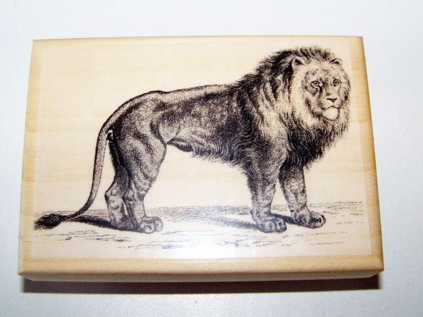Brand New 6mm and 8mm Lion Metal Design 2 Stamp Set - Metal Stamp - Metal  Stamping and Jewelry Tool - SGCH-541542