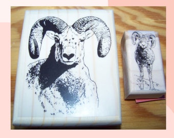 SHEEP Rubber Stamp | Ram Stamp| 2 New Mounted Sheep Rubber Stamps | animal stamp | Art Stamp