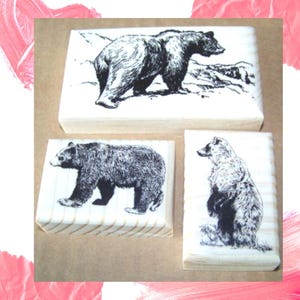Bear Rubber Stamp 3 New BEAR, BEARS Rubber Art Stamps stamp animal rubber stamp