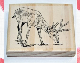 Realistic Deer Rubber Stamp Deer Drinking Stream New Rubber Stamp