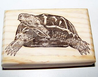 Galapagos Turtle New mounted rubber stamp