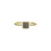 Dainty Square Cremation Ring in 14K Gold | Pet Ashes Memorial Jewelry