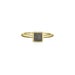 Dainty Square Cremation Ring in 14K Gold | Pet Ashes Memorial Jewelry 