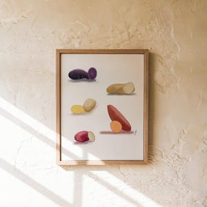 Puede incluir: Una impresión enmarcada que presenta una variedad de patatas coloridas. La obra de arte muestra patatas enteras y cortadas por la mitad en tonos morado, beige, amarillo, rojo y naranja. Las patatas están dispuestas sobre un fondo blanco.