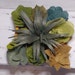 see more listings in the Succulents section