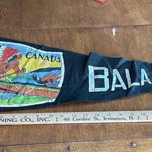 Vintage Souvenir Felt Pennant