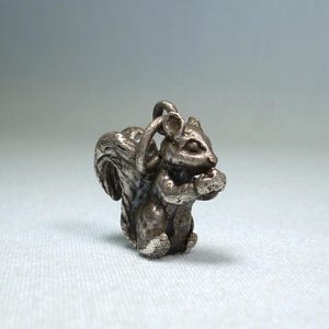 May include: A detailed silver-toned squirrel charm, holding a nut. The charm has a textured surface and a loop for attaching to a necklace or bracelet. The squirrel's tail is curled, and its features are well-defined.