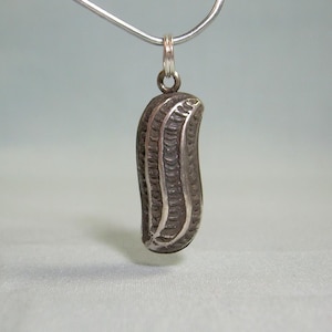 May include: A silver pendant in the shape of a peanut, suspended from a silver chain. The peanut pendant has detailed ridges and a textured surface, showcasing a realistic design. The jewelry is displayed against a soft, light background.