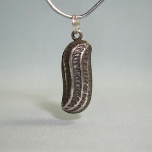 May include: A silver peanut charm pendant with a detailed textured surface. The charm is attached to a silver chain.