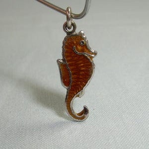 May include: A silver charm in the shape of a brown seahorse. The seahorse is detailed with a textured surface and a silver outline.