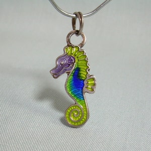 May include: A silver charm pendant in the shape of a seahorse with green, blue, and purple enamel. The charm is attached to a silver chain.