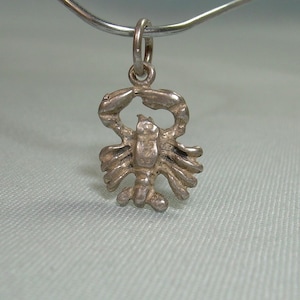 Può includere: Un piccolo ciondolo color argento a forma di scorpione. Il ciondolo è sospeso a una sottile catena color argento. Lo scorpione ha artigli, segmenti del corpo e una coda ricurva dettagliati. Lo sfondo è un tessuto azzurro.