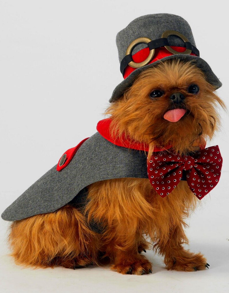 M7004 McCall's Steampunk Dog Costumes Sewing Pattern Dog Etsy