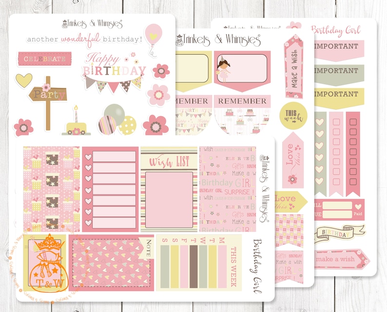 Birthday Girl Planner Stickers for the Classic Happy Planner/_Glossy