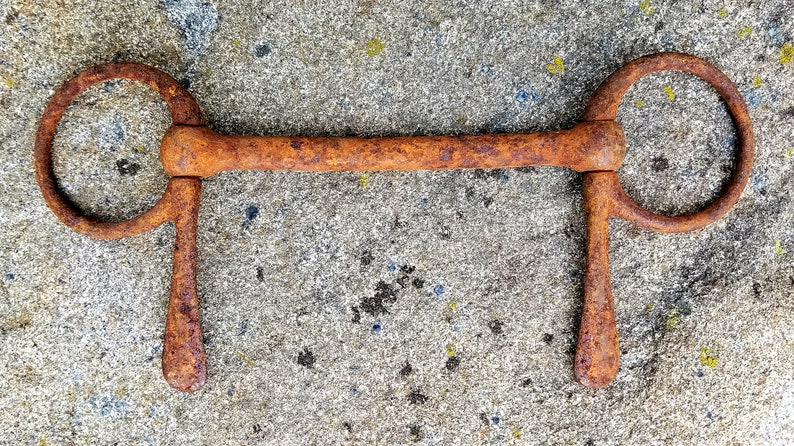 10 Rustic Horse Bit