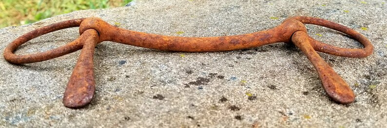 10 Rustic Horse Bit