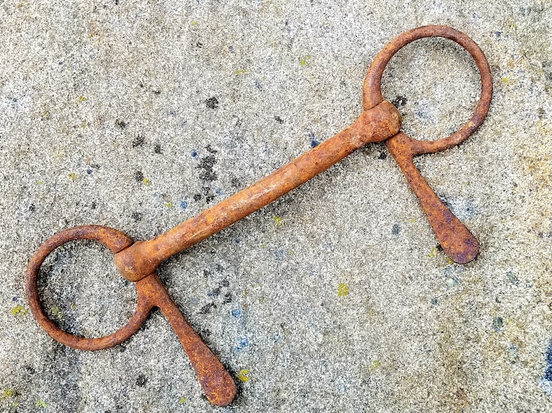 10 Rustic Horse Bit