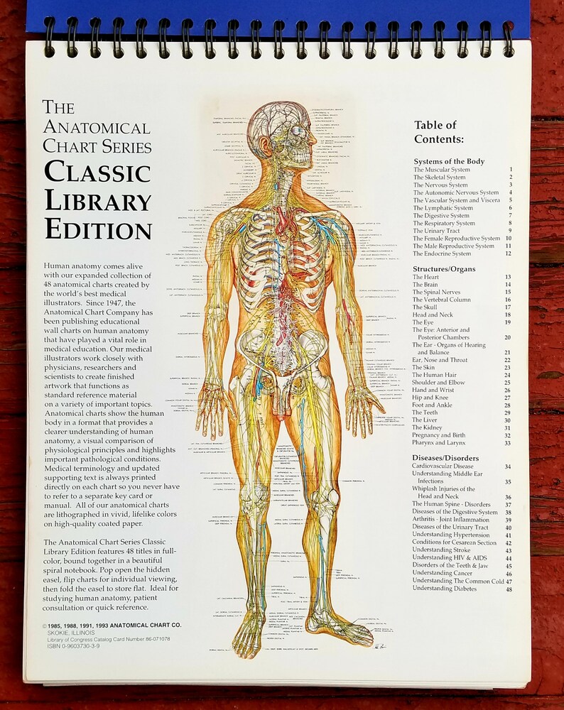 Anatomical Chart Co Skokie Illinois