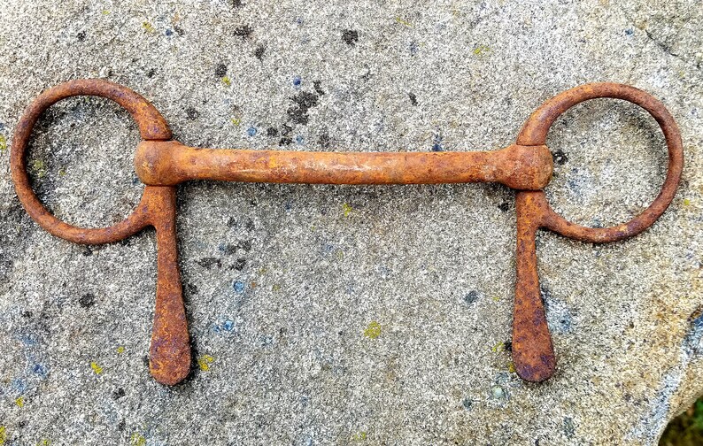 10 Rustic Horse Bit