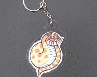 Hognose Snake Keychain - Albino Morph