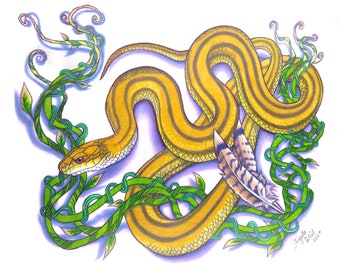 Yellow Rat Snake Colored Pencil Art Print