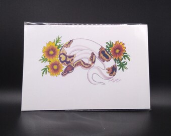 Ball Python Art Print Set
