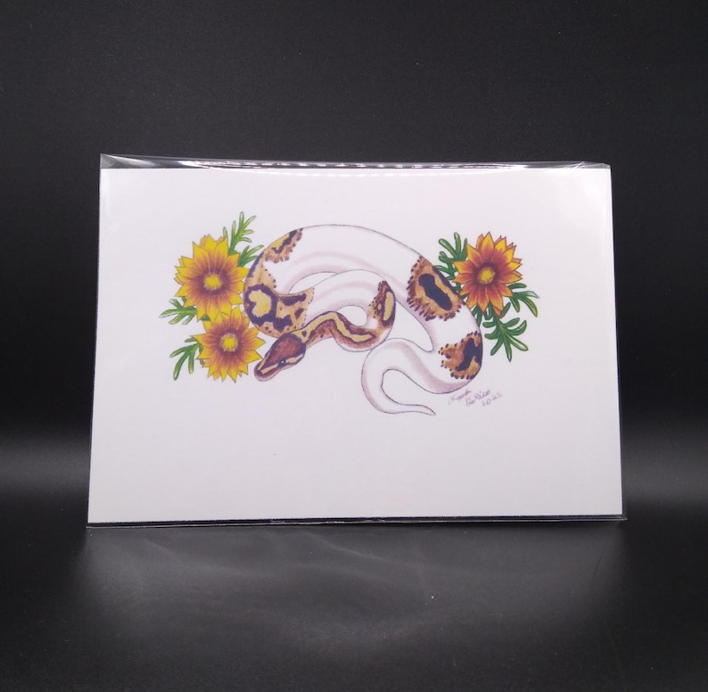 Ball Python Art Print Set - Etsy