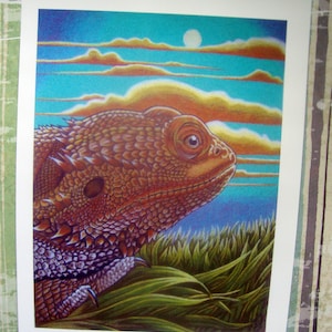 Bearded Dragon Art Print - Mindfulness