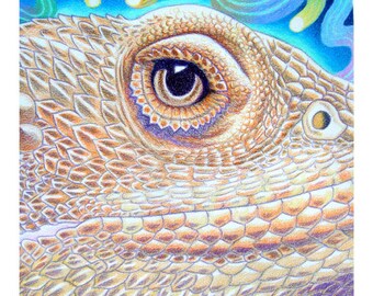 Bearded Dragon Art Print  - DragonStar