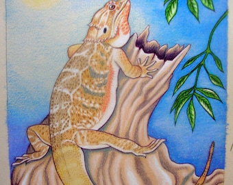 11" x 14" Custom Reptile Pet Potrait
