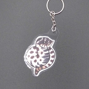 May include: A clear plastic keychain with a black and white illustration of a snake curled up. The snake has a spotted pattern and a light brown tail.