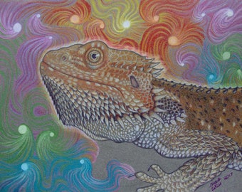8" x 10" Reptile Pet Portrait, Custom Artwork