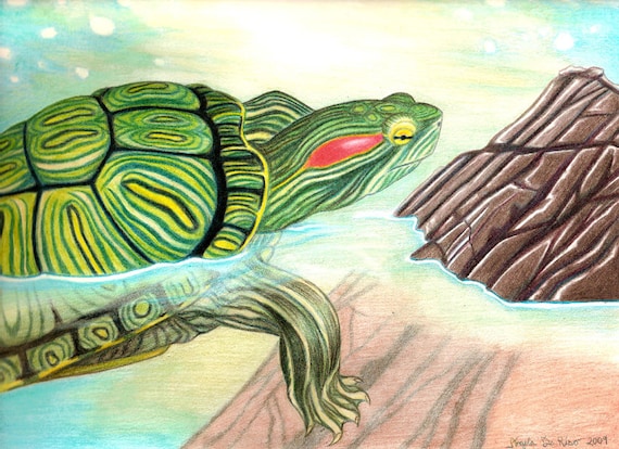 READ EARED SLIDER TURTLE ILLUSTRATION PAINTING PET REPTILE ART REAL CANVAS PRINT