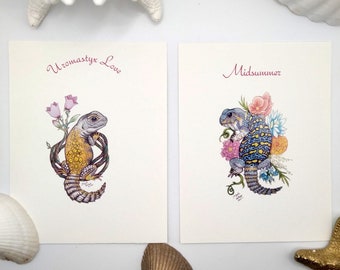 Uromastyx Lizard Art Postcard Set: Cheeky Reptile Greeting Cards