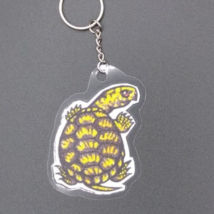 May include: A clear acrylic keychain featuring a yellow and black turtle with a detailed shell design.