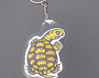 Eastern Box Turtle Keychain: Hand-Drawn Laminated Turtle Keyring