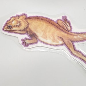 Cute Bearded Dragon Keychain &quot;Sexy Leg&quot;