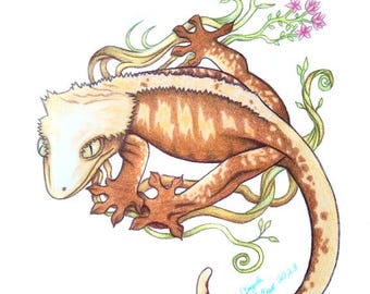 Art Print Set Colorful Crested Geckos