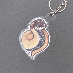 Hognose Snake Keychain - Super Conda