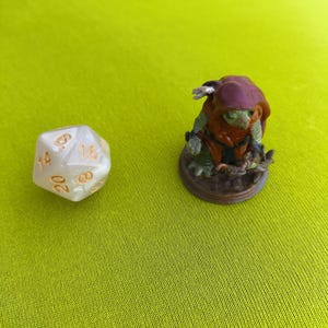 Tortle Ranger Hand Painted TTRPG D&D Creature