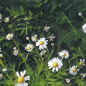 Daisies Notecard