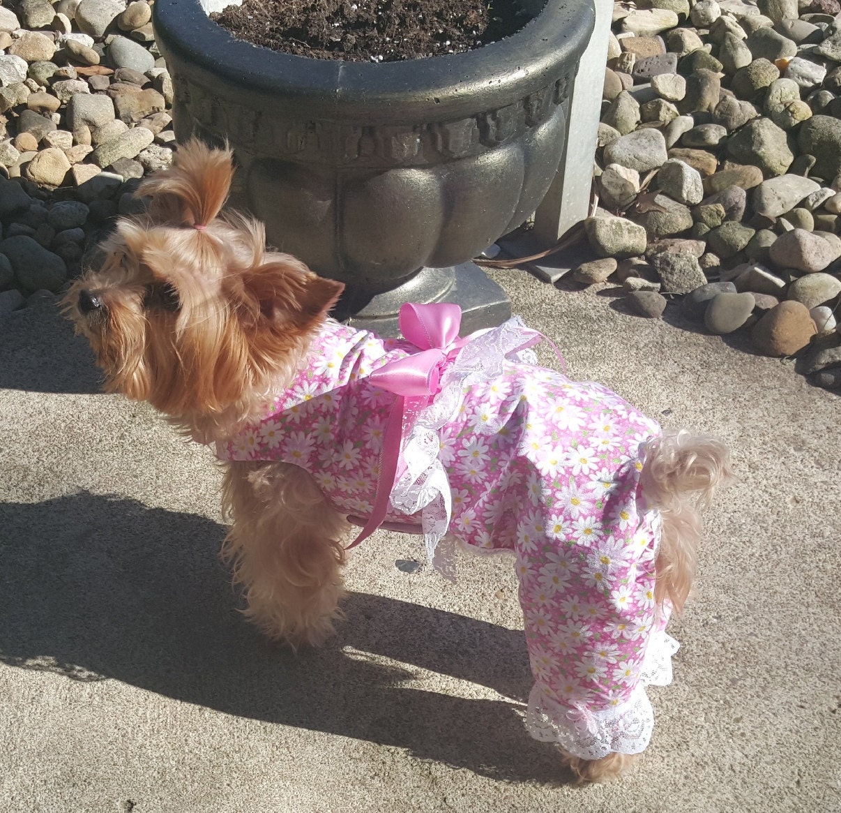 Dog Clothing Dog Dress Pet Clothing Pet Dress Custom Sizes Etsy