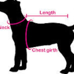 Dog Robe, Dog Dress, Dog Clothing, Pet Dress, Pet Clothing-Pink Terry Bathrobe image 4