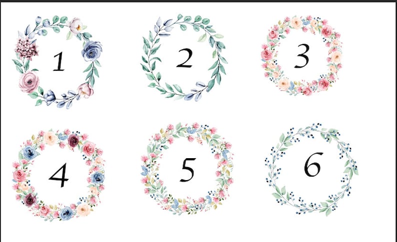 May include: Six watercolor floral wreaths with numbers 1 through 6 in the center. The wreaths are made of pink, blue, and green flowers and leaves.