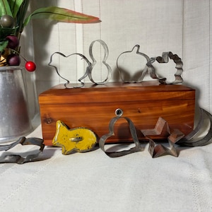 May include: A collection of metal cookie cutters in various shapes including a bird, peanut, apple, tree, heart, star, and crescent moon, alongside a yellow painted metal rabbit cutter, all arranged around a rectangular wooden box with a metal keyhole.