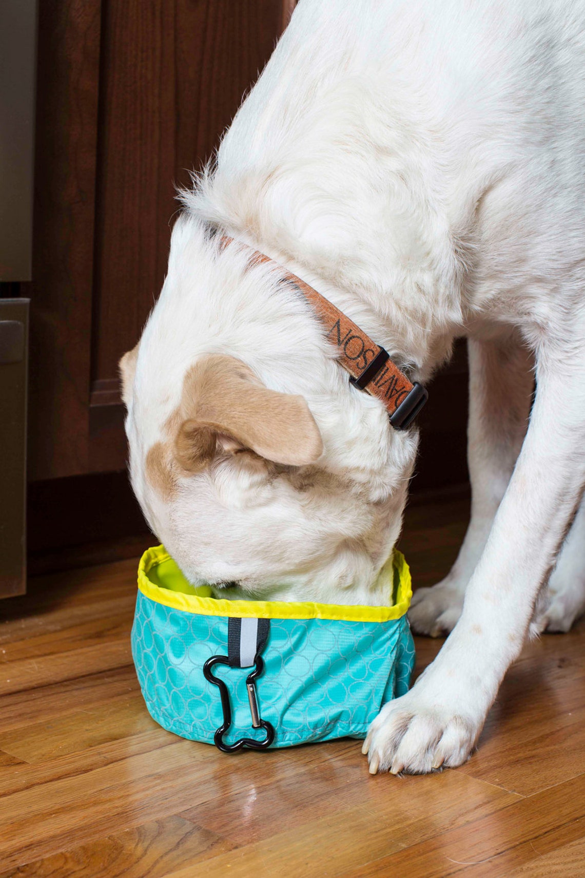 Collapsible Dog Water Bowl Etsy