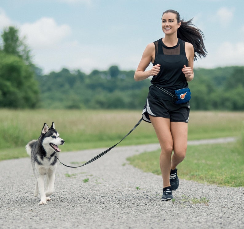 Hands Free Leash That Holds Dog Bags Personal Items and Pet Etsy